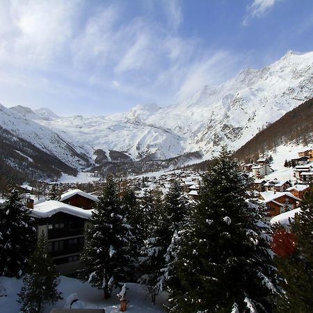 Swiss Family Hotel Alphubel Saas Fee Εξωτερικό φωτογραφία